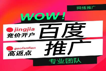 百度推广托管案例，展示精准定位营销的魅力